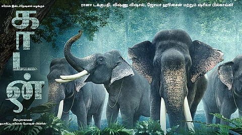 காதலுக்காக சண்டையிட ஆட்கள் உண்டு; காடுகளுக்கு யார் குரல் கொடுப்பார்கள்? - இயக்குநர் பிரபு சாலமன்