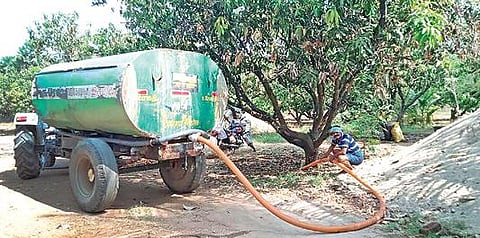 போச்சம்பள்ளி பகுதியில் வெயிலின் தாக்கம் காரணமாக மாமரங்களுக்கு தண்ணீர் பற்றாக்குறையை போக்க தண்ணீரை விலைக்கு வாங்கி விவசாயிகள் பாய்ச்சி வருகின்றனர்.