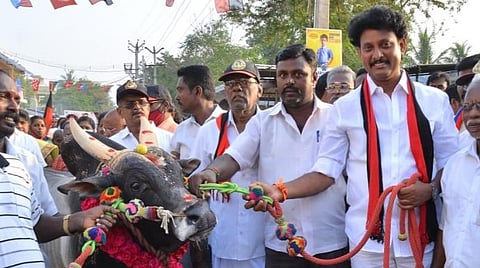 ஜல்லிக்கட்டுக் காளையுடன் திமுக வேட்பாளர் அன்பில் மகேஷ் பொய்யாமொழி.
