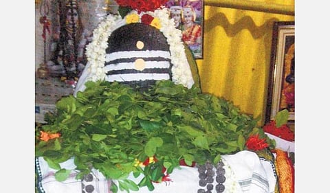 வெள்ளி பிரதோஷ தரிசனம்; சுக்கிர யோகம் நிச்சயம்! 