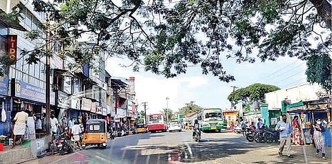 தொடரும் பிரிவு -17 நிலப் பிரச்சினை; மின் இணைப்பு இல்லாத 10 ஆயிரம் வீடுகள்: கூடலூரில் திமுகவின் தொடர் வெற்றிக்கு ‘செக்' வைக்குமா அதிமுக? - ஒருபுறம் அரசின் திட்டங்கள், கள வியூகம்; மறுபுரம் சிறுபான்மையினர் வாக்குகள்