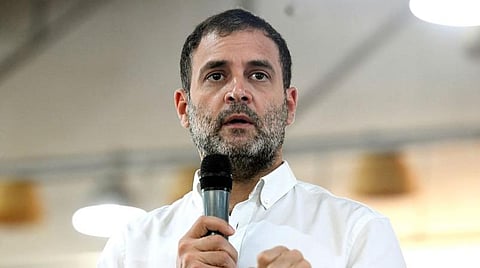 காங்கிரஸ் எம்.பி. ராகுல் காந்தி : கோப்புப்படம்