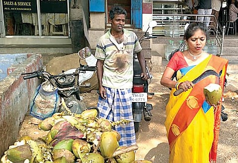 ஆத்தூர் தொகுதிக்குட்பட்ட சின்னாளபட்டியில் இளநீர் சீவி தேர்தல் பிரச்சாரத்தில் ஈடுபட்ட பாமக வேட்பாளர் திலகபாமா.