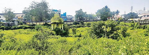 செடி, கொடிகளுடன் புதர் மண்டிக் கிடக்கும் விழுப்புரம் அய்யனார் கோயில் குளம்.