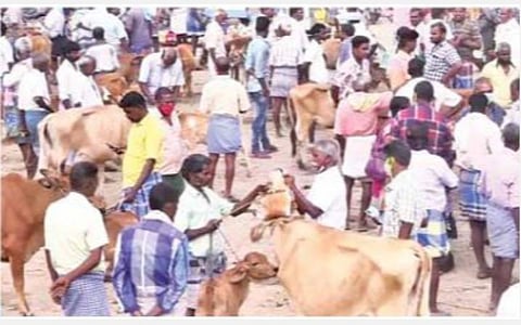 மதகடிப்பட்டு வாரச்சந்தையில் வியாபாரிகள், பொதுமக்கள் பலரும் முகக்கவசம் இன்றி இருந்தனர்.