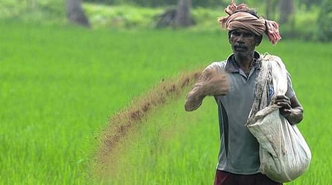 தமிழகத்தில் தேவையான உரம் இருப்பு உள்ளது: வேளாண் துறை அதிகாரிகள் தகவல்