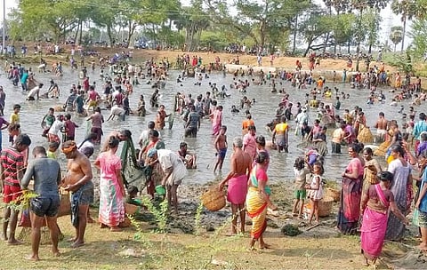 திருப்பத்தூர் அருகே மீன்பிடி திருவிழா