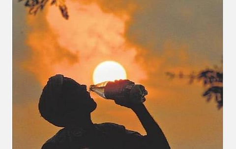 தமிழக கடலோர மாவட்டங்களில் 7 டிகிரி ஃபாரன்ஹீட் வரை வெப்பநிலை உயரும்