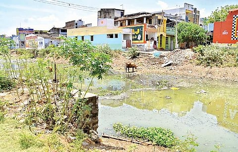 குறிச்சி அருகே பாளையங்கால்வாயில் சாக்கடை நீர் கலப்பதால்  கழிவுநீர் மேலப்பாளையத்தில் ஓடையாக மாறியுள்ளது. படங்கள்: மு.லெட்சுமி அருண்