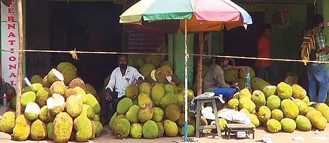 வாங்க ஆள் வராததால் வெறிச்சோடி காணப்படும் மதுரை யானைக்கல் பகுதியிலுள்ள பலாப்பழ கடைகள்.