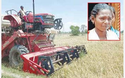 செல்போனில் மூழ்கி கிடப்பவர்களுக்கு மத்தியில் நெல் அறுவடை பணியில் பம்பரமாக சுழலும் பள்ளி மாணவி