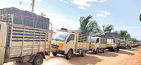 ஆனைமலையான்பட்டியில் உள்ள தனியார் ஒயின் தொழிற்சாலை முன் நீண்ட வரிசையில் நிறுத்தப்பட்டுள்ள திராட்சை ஏற்றப்பட்ட சரக்கு வாகனங்கள்.