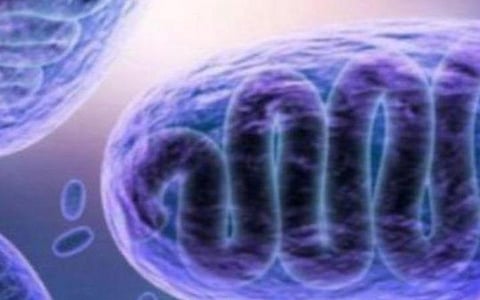கள்ளக்குறிச்சி வட்டாட்சியருக்கு கருப்பு பூஞ்சை தொற்று