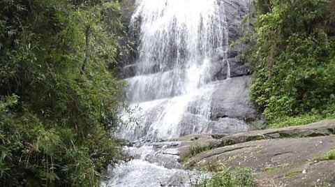 கொடைக்கானல் மலைப்பகுதியில் தொடர் மழை காரணமாக வெள்ளிநீர் வீழ்ச்சியில் கொட்டும் நீர்.