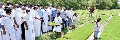 தஞ்சாவூர் மாவட்டம் களிமேடு கிராமத்தில் குறுவை சாகுபடிக்காக அமைக்கப்பட்டுள்ள செம்மை நெல் சாகுபடி முறை நாற்றங்காலை  பார்வையிடுகிறார் வேளாண்மைத் துறை அமைச்சர் எம்.ஆர்.கே.பன்னீர்செல்வம். உடன், அரசு தலைமைக் கொறடா கோவி.செழியன் மற்றும் எம்.பி, எம்எல்ஏக்கள், வேளாண் அதிகாரிகள் உள்ளிட்டோர்.