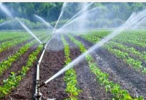 நுண்ணீர்ப் பாசன வசதிக்கு அரசு மானியம்: கோவை விவசாயிகள் விண்ணப்பிக்கலாம்