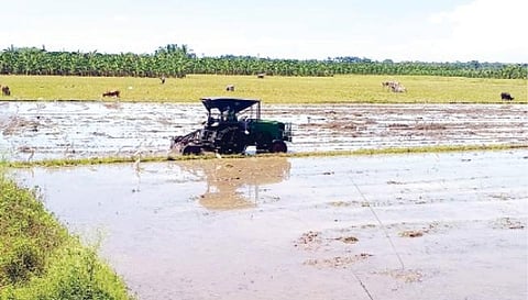 தூத்துக்குடி மாவட்டம் செய்துங்கநல்லூர் பகுதியில் கார் சாகுபடிக்காக வயலில் டிராக்டர் மூலம் உழவுப் பணி  நடைபெறுகிறது.