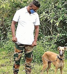 நீலகிரியில் வனக் குற்றங்களை கண்டறிய வனத்துறையில் இரு மோப்ப நாய்கள் பணியில் சேர்ப்பு