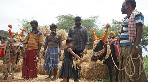 கரோனா ஊரடங்கால் முடங்கிய மதுரை சக்கிமங்கலம் 'பூம்பூம் மாட்டுக்காரர்கள்':உதவிக்கரம் நீட்டிய ‘திருநகர் பக்கம்’ இளைஞர்கள்