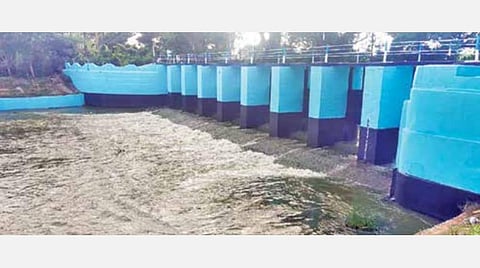 கடைமடை வந்தது காவிரி நீர்: திருவாரூர் மாவட்ட விவசாயிகள் மகிழ்ச்சி