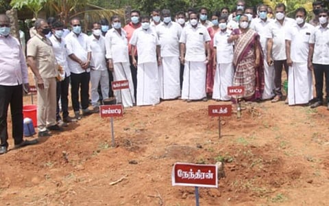 கன்னியாகுமரி அரசு தோட்டக்கலை பண்ணையில் 20 வகை பாரம்பரிய வாழைக்கன்றுகள் நடவு
