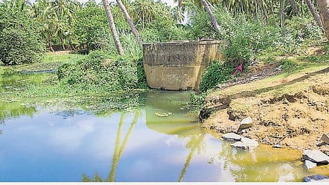 பழையாறு தடுப்பணை டெண்டரை இறுதி செய்யத் தடை: உயர் நீதிமன்றம் உத்தரவு