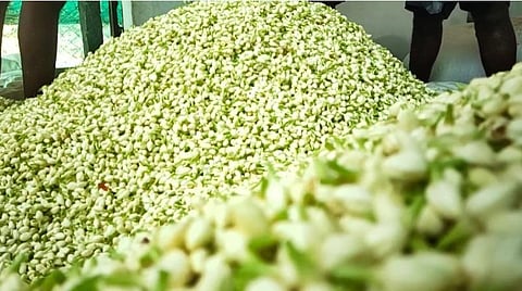 திண்டுக்கல் மாவட்டம் நிலக்கோட்டை பூ மார்க்கெட்டில் விற்பனைக்கு குவிக்கப்பட்டுள்ள மல்லிகைப்பூக்கள். 