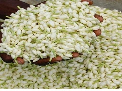 பிரதிநிதித்துவப் படம்