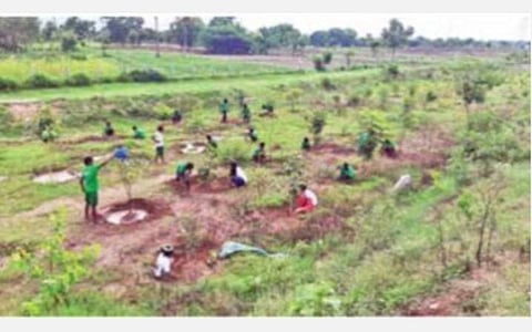 தருமபுரி அருகே 3,000 மரக்கன்றுகள் நடவு; பயன்பாடற்ற பொதுக்கிணற்றை சீரமைத்து நீராதாரம்: கிராமத்தின் பசுமையை மீட்கும் பணியில் மாணவர்கள்