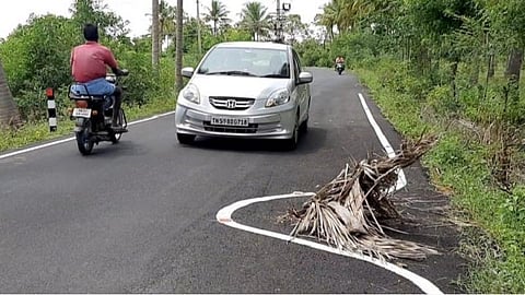 நத்தம் அருகே சாலை ஓரத்தில் தென்னை ஓலையை சுற்றி வரையப்பட்ட கோடு: உண்மை நிலை தெரியாமல் கலாய்த்த மீம்ஸ் கிரியேட்டர்ஸ் 
