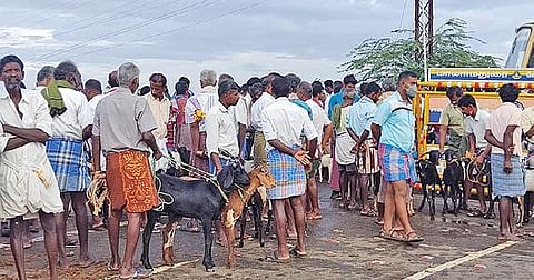 திருப்புவனத்தில் நான்குவழிச்சாலையில் நடந்த ஆட்டுச்சந்தையில் குவிந்த வியாபாரிகள்.