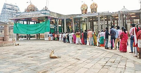 சிதம்பரம் நடராஜர் கோயில் ஆனித் திருமஞ்சன தரிசன விழாவையொட்டி சாமி தரிசனம் செய்ய நீண்ட வரிசையில் நிற்கும் பக்தர்கள்.