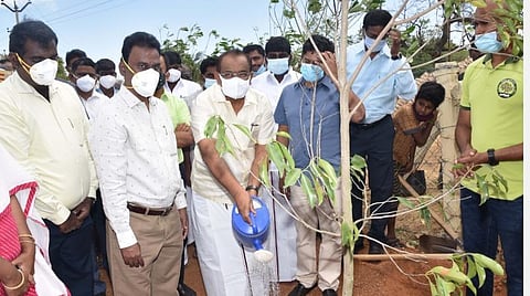 ஒட்டன்சத்திரம் அருகே கள்ளிமந்தயத்தில் மரக்கன்று நட்ட உணவுத்துறை அமைச்சர் அர.சக்கரபாணி.