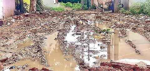 வேலூர் மாநகராட்சிக்கு உட்பட்ட 15-வது வார்டு ராஜீவ்காந்தி நகரில் சேறும், சகதியுமாக உள்ள சாலை.