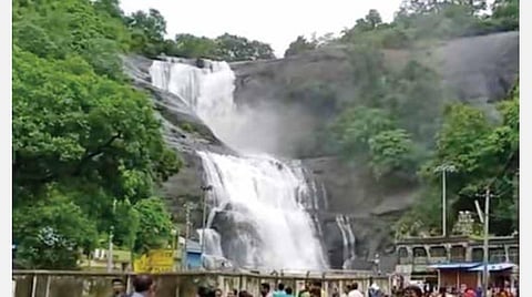 மலைப்பகுதியில் பலத்த மழை எதிரொலியாக நெல்லை, தென்காசி மாவட்ட அணைகளில் நீர்மட்டம் உயர்வு