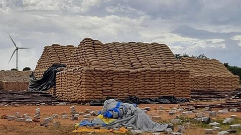 திறந்தவெளியில் வைக்கப்பட்டுள்ள ஆயிரக்கணக்கான நெல் மூட்டைகள்: பாதுகாப்பான கிட்டங்கி வசதி செய்யப்படுமா?