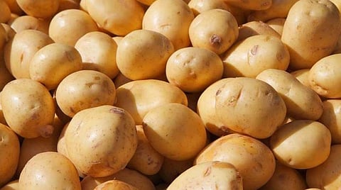 பளிச் பத்து 29: உருளைக்கிழங்கு