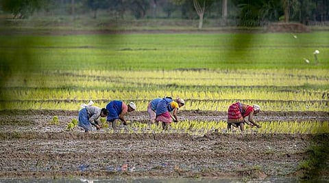 15% நிதி ஒதுக்கீடு, விளைபொருட்களுக்கு உரிய விலை உள்ளிட்ட விவசாயிகளின் எதிர்பார்ப்புகளை நிறைவேற்றுமா முதல் வேளாண் பட்ஜெட்?