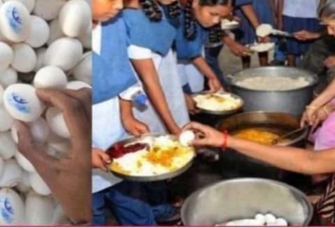 தமிழக பட்ஜெட் 2021: பள்ளிகளில் முட்டை கொள்முதல் முறையை சீரமைக்க நடவடிக்கை