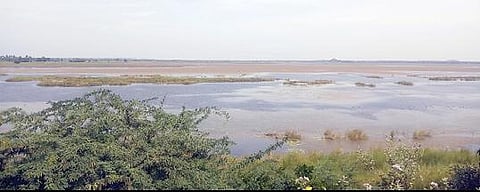 தூர்வாரப்படாமல் இருக்கும் மதுராந்தகம் ஏரி.