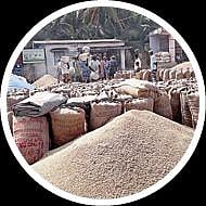 வேளாண் பட்ஜெட்: நெல் கொள்முதல் விலை உயர்வு; 6 லட்சம் விவசாயிகள் பயன்பெறுவார்கள்