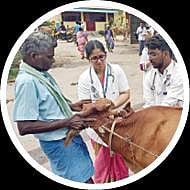 வேளாண் பட்ஜெட்: கறவை மாடுகளுக்கு சிகிச்சை அளிக்கும் திட்டத்துக்கு ரூ.14.28 கோடி நிதி