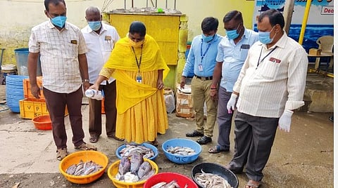 திருப்பூரில் இன்று பறிமுதல் செய்யப்பட்ட மீன்களை பினாயில் ஊற்றி அழிக்கும் அலுவலர்கள்.