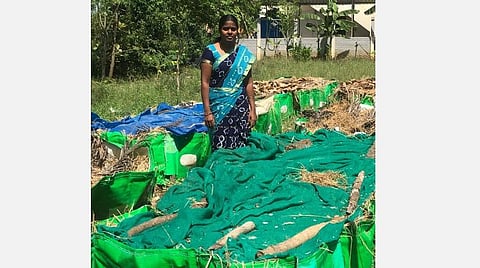 மண்புழு உர பாக்கெட்டுகளுடன் அழகு.