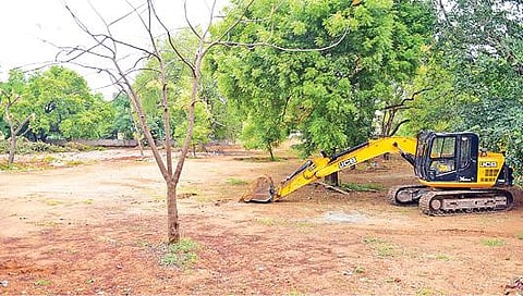 மதுரை - நத்தம் சாலையில் கலைஞர் நூலகம் அமையவுள்ள இடத்தில் மரங்களை அகற்றி வேறு இடத்தில் நடுவதற்காக பொக்லைன் மூலம் பள்ளம் தோண்டும் பணி நடக்கிறது. படம்: எஸ். கிருஷ்ணமூர்த்தி
