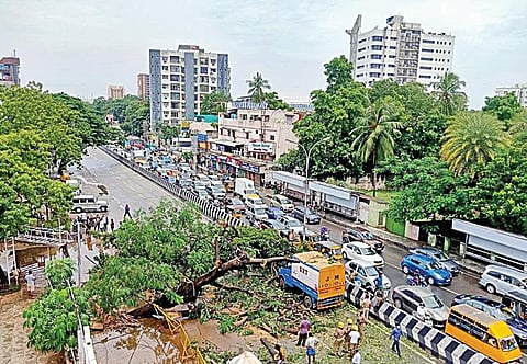 கொட்டித் தீர்த்த மழையால் மிதந்த சென்னை: சாலைகளில் தேங்கிய மழைநீரால் போக்குவரத்து பாதிப்பு