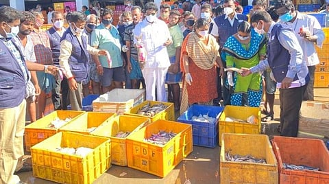 திருச்சி மீன் மார்க்கெட்டில் 350 கிலோ ஃபார்மலின் மீன்கள் பறிமுதல்: மக்கள் அதிர்ச்சி