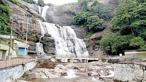 தொடர் மழையால் குற்றாலம் பிரதான அருவியில் தண்ணீர் ஆர்ப்பரித்து கொட்டியது.