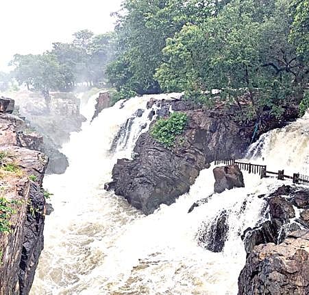 ஒகேனக்கல் பிரதான அருவியில் ஆர்ப்பரித்துக் கொட்டும் தண்ணீர்.