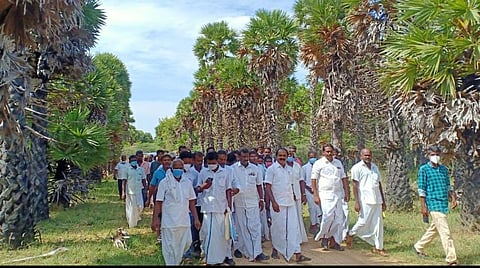 பனை மட்டுமே ஹைபிரிட் செய்யப்படாத மரம்; பாண்டிக்குடி பனந்தோப்பு பனை பூங்காவாக மாற்றப்படும்: அமைச்சர் மெய்யநாதன்